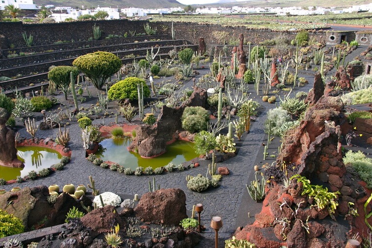 Сад кактусов на острове Лансароте